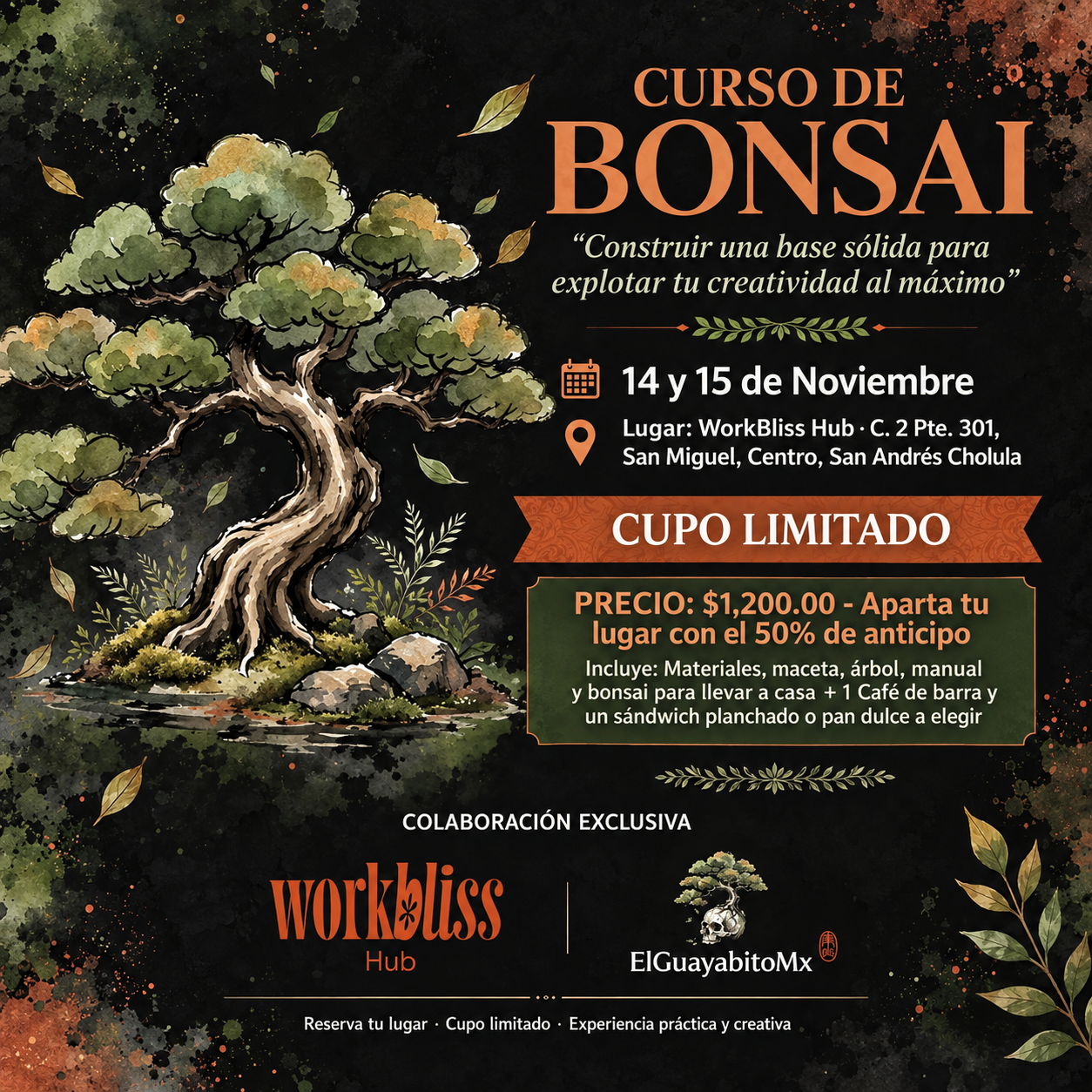 Aprende el arte del Bonsai, curso Básico